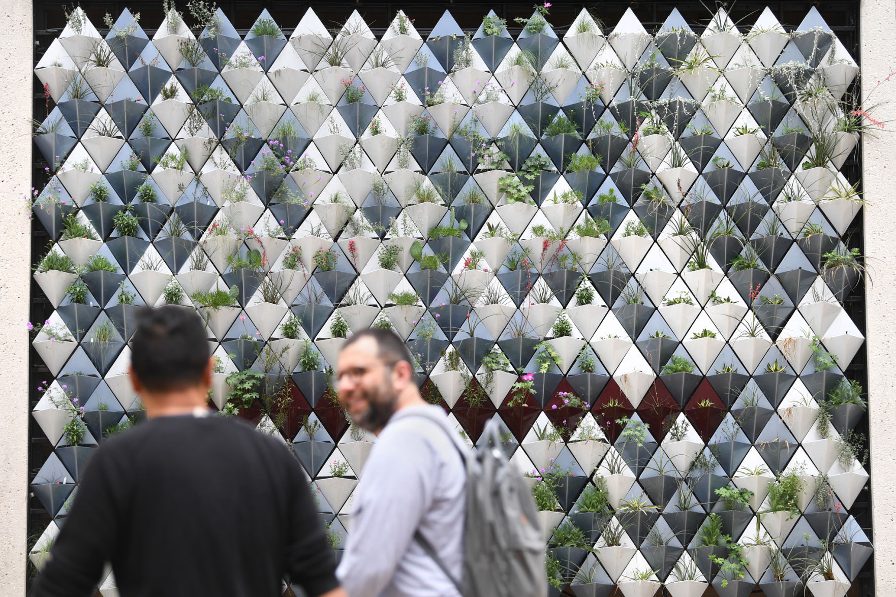Living Wall at Texas A&M